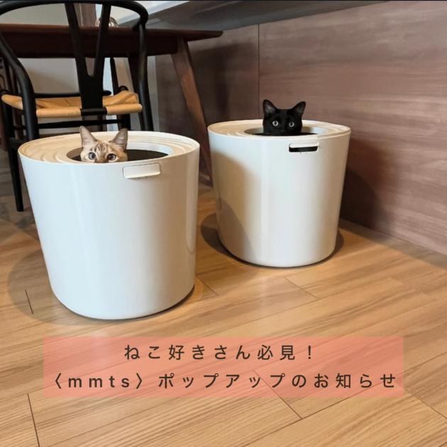 ついに！マミタスが広島に初上陸！！