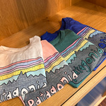 大人気！【patagonia】キッズTシャツ「フィッツロイ」