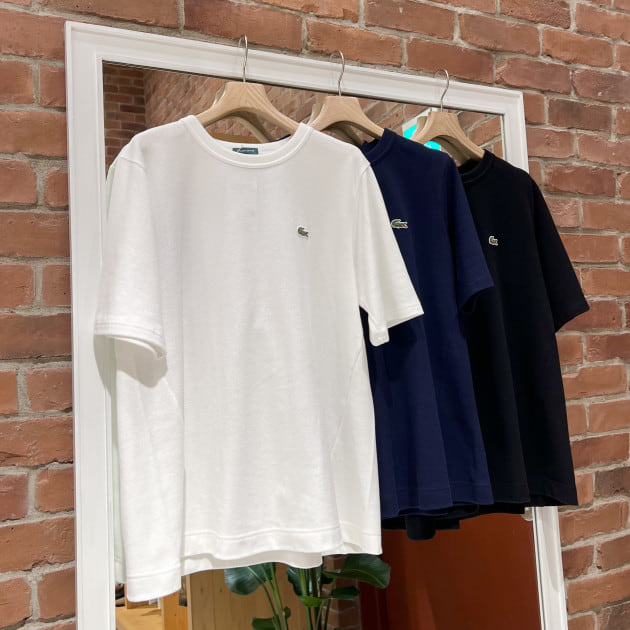 ナニイロのナニサイズ！？〈LACOSTE〉カラー・サイズ徹底比較！！！