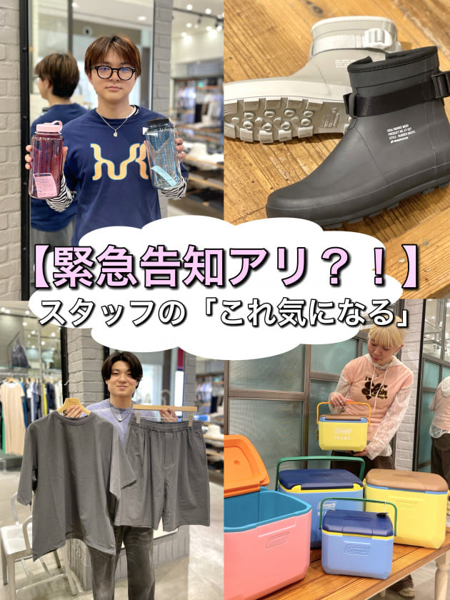 【緊急告知アリ？！】スタッフの「コレ気になる！」