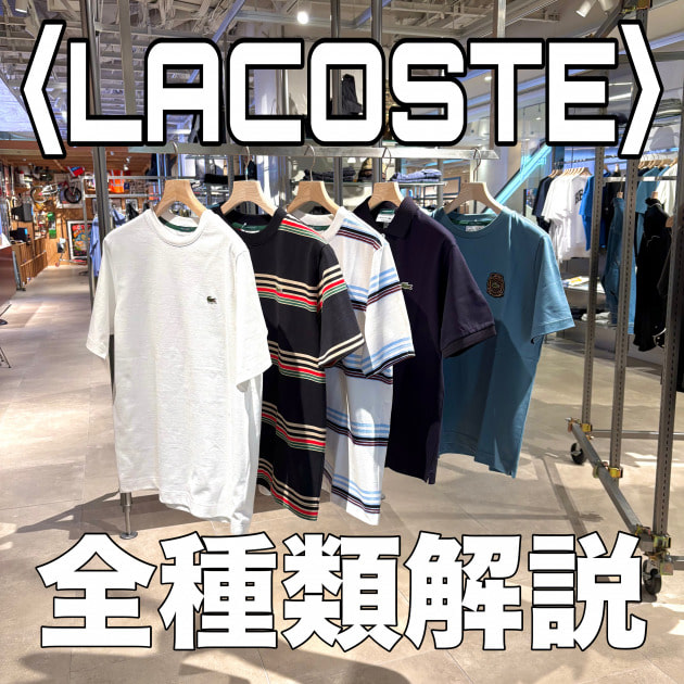 【2025年最新】BEAMS別注ラコステTシャツがアツい！限定デザインを徹底レビュー