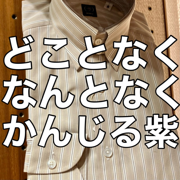 かんじるパープル〈BEAMS F〉