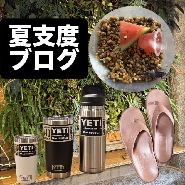 【夏支度ブログ◎】