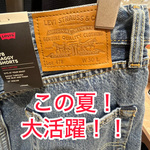 【まだ！間に合う！】夏に履きたいデニムショートパンツ