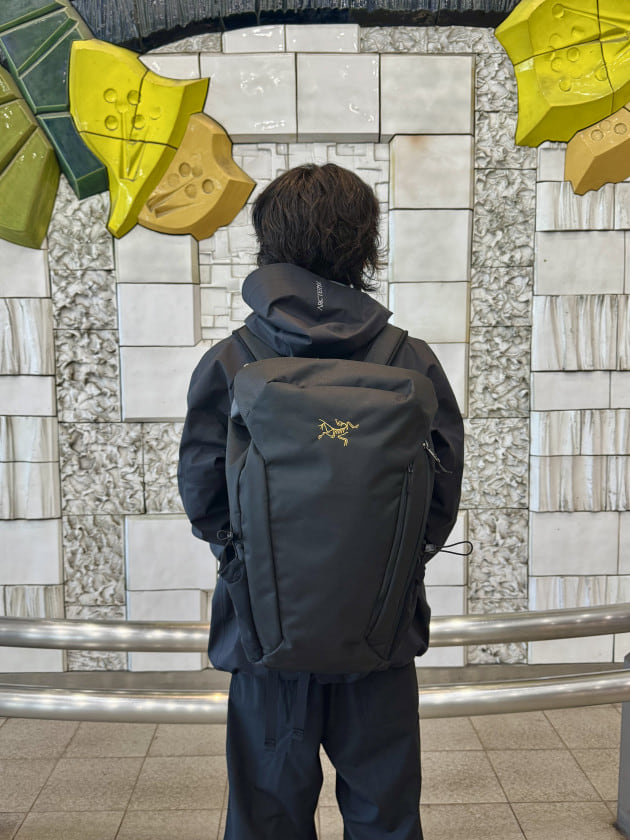 国内正規品 BEAMS ARCTERYX mantis 30 BEAMS（ビームス）ARC'TERYX / Mantis 30 Backpack（バッグ