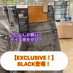 【EXCLUSIVE！BLACK！登場！】