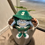 【Jain Golf】販売スタート！！！