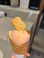 〈BIG BABY ICECREAM vol.2〉