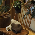 “tocit” for Autum+Winter