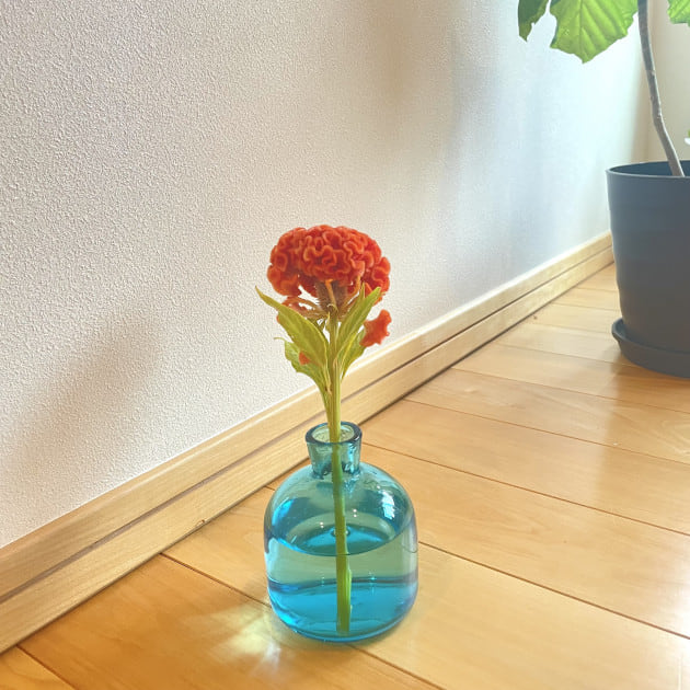 【清水の気になるコレクションNo.99〜SALEのご案内♪】