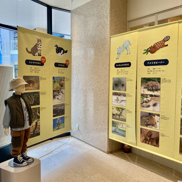 那須どうぶつ王国とコラボ！？スノードーム作りが出来るワークショップ開催