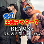【冬の王様アウターMA-1】昨年度からお世話になってて、今年新色でましたよ！〈BEAMS〉
