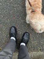 爆裂売れ行きが好調です！！