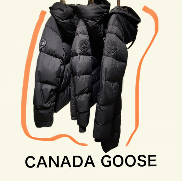 CANADA GOOSE