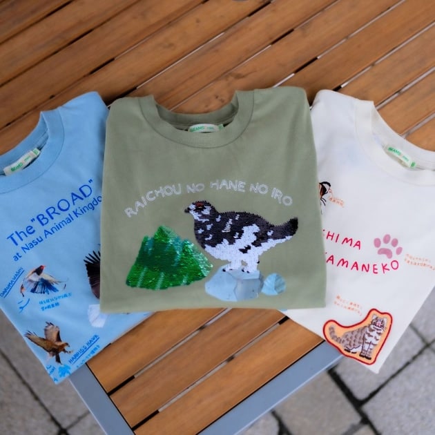 BEAMS mini「博士 ロングスリーブ Tシャツ 2025FW」