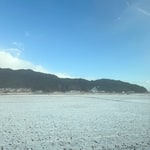 【清水の気になるコレクションNo.104  休館日のお知らせ　】