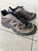 Salomonハイブリットモデル！！