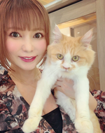 ●動物保護団体、寄付のご報告●