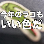 バッファローカッコイイ！