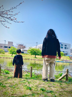 新年度いかがお過ごしですか？
