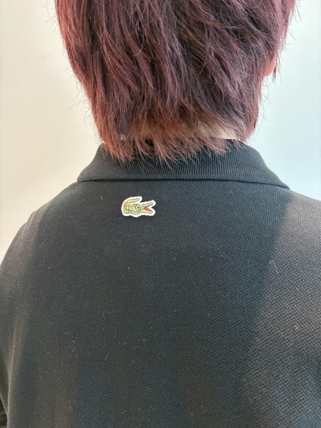 別注〈LACOSTE〉徹底解剖！｜BEAMS BOY（ビームス ボーイ）｜BEAMS