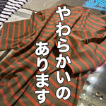 半袖のセント ジェームス