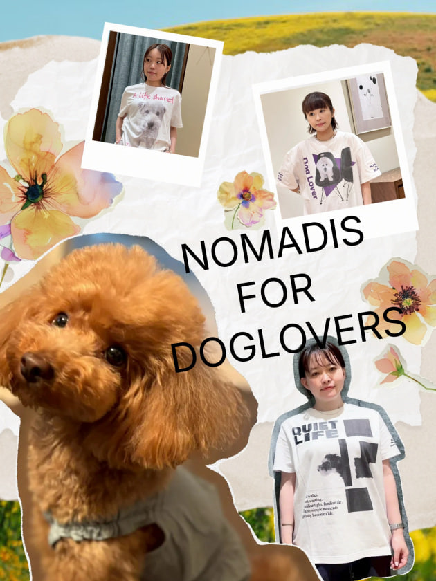 NOMADIS】BEAMS50周年記念T＆『101匹わんちゃん』トートも登場