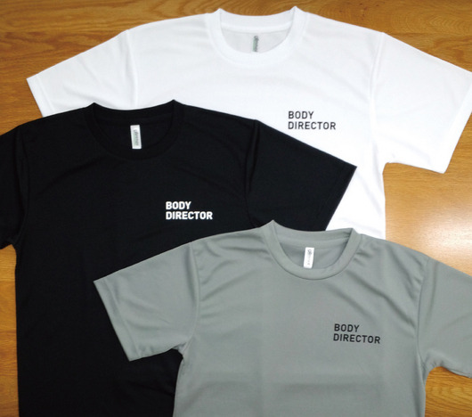 BODY DIRECTOR 2016
