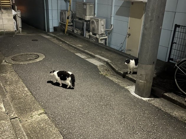 夏を彩るバッグ&ポーチ