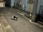 夏を彩るバッグ&ポーチ