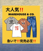 BEAMS PLUS（ビームス プラス）【別注】WAREHOUSE & CO. / Lot 4601