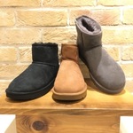 寒い冬の心強い相棒