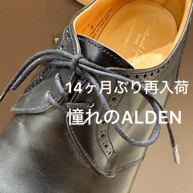14ヶ月ぶりの再入荷！BEAMS別注 ALDEN(オールデン)カーフVチップは今