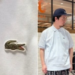 ストライプの中にワニが！【LACOSTE（ラコステ）】× BEAMS