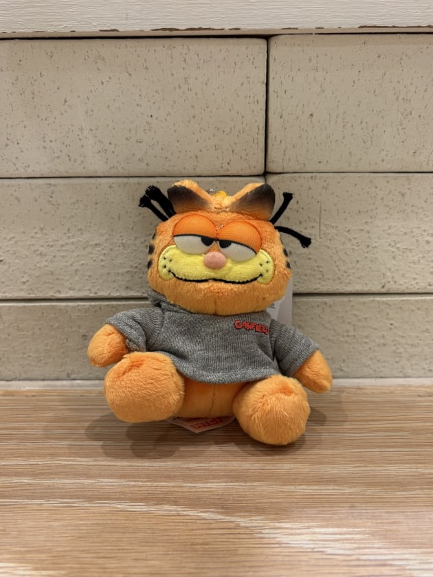 世界に一つだけ！限定1000個！】愛らしいGARFIELD♡｜ビームス 大分｜BEAMS