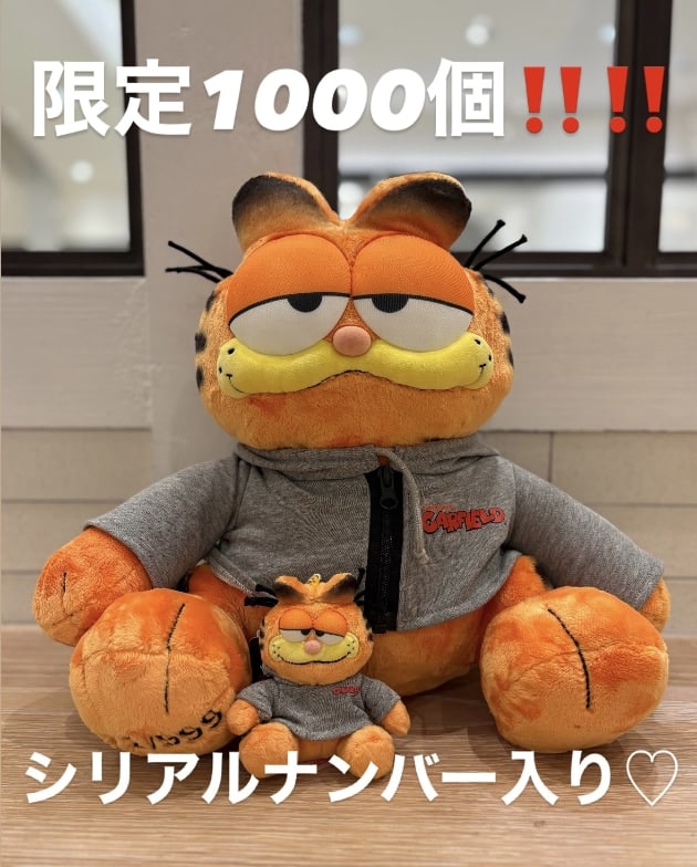 世界に一つだけ！限定1000個！】愛らしいGARFIELD♡｜ビームス 大分｜BEAMS