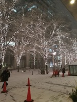 新作！〈WOOLRICH〉