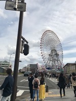 万能シューズ！！