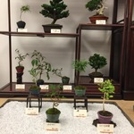 やっぱり簡単ではないかもしれません