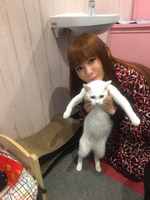 ●動物保護団体、寄付のご報告●