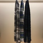 イヌ押し。