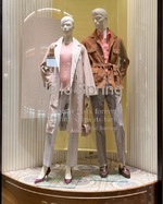 メインウィンドウの彼