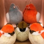 もふもふ、入りました！！