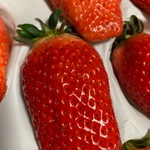 やっぱりリバティが好き。