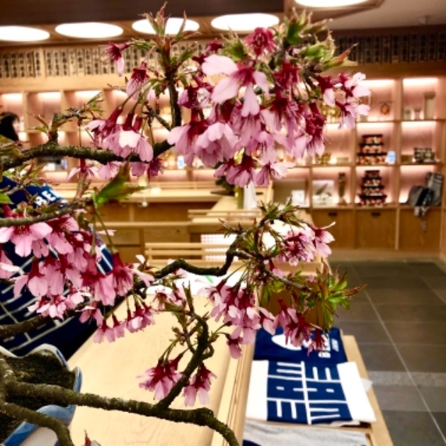 神様お願いします ビームス ジャパン Beams