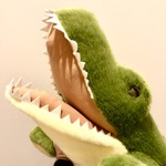 今日のぬいぐるみ〜アリゲーター！！！〜