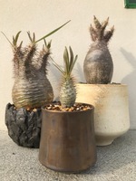 画期的