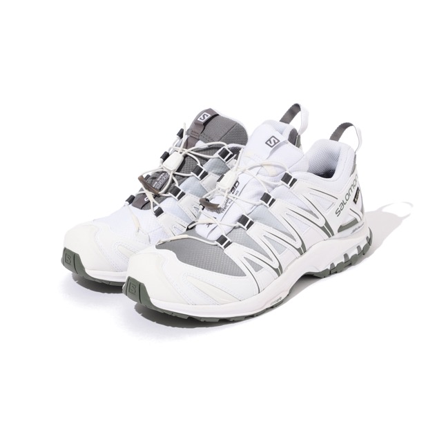 salomon xa pro 3d gtx 10.5