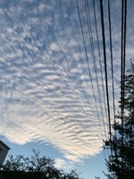 THE！〈Patagonia〉の代名詞！