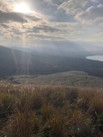 大本命、キング オブ ダウン再び！